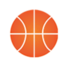 弗拉基米尔大学女篮logo